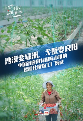 在世界屋脊湘遇丨湖南援藏又三年，高原會(huì)記得他們的故事 溫室