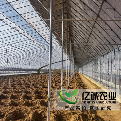 如何選擇優(yōu)質(zhì)的日光溫室建設(shè)廠家？億誠農(nóng)業(yè)專家解析選廠要點(diǎn)